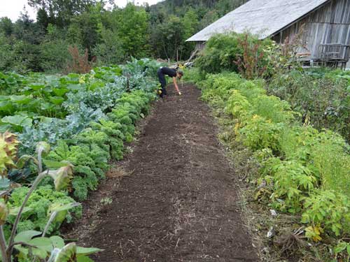 terre potager